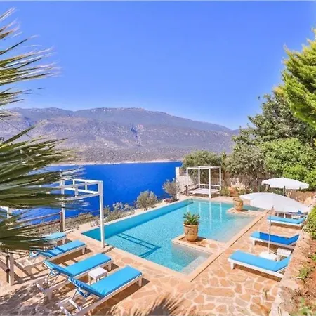 Bougain Villa *